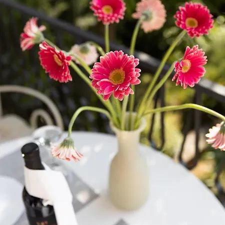 Apartments More Klenovica