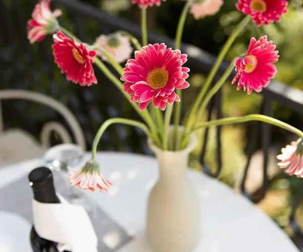 Apartments More Klenovica